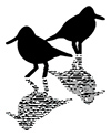 RGI Birds